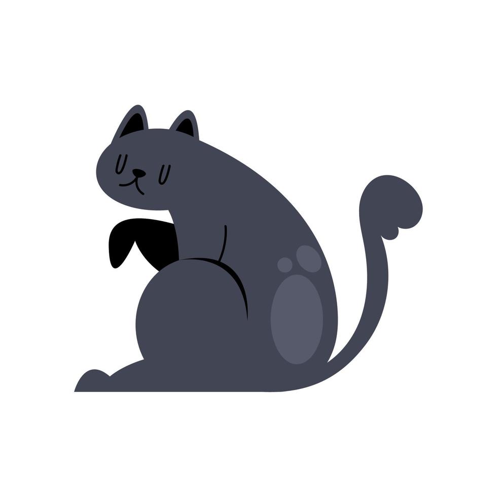 cute little cat black vector