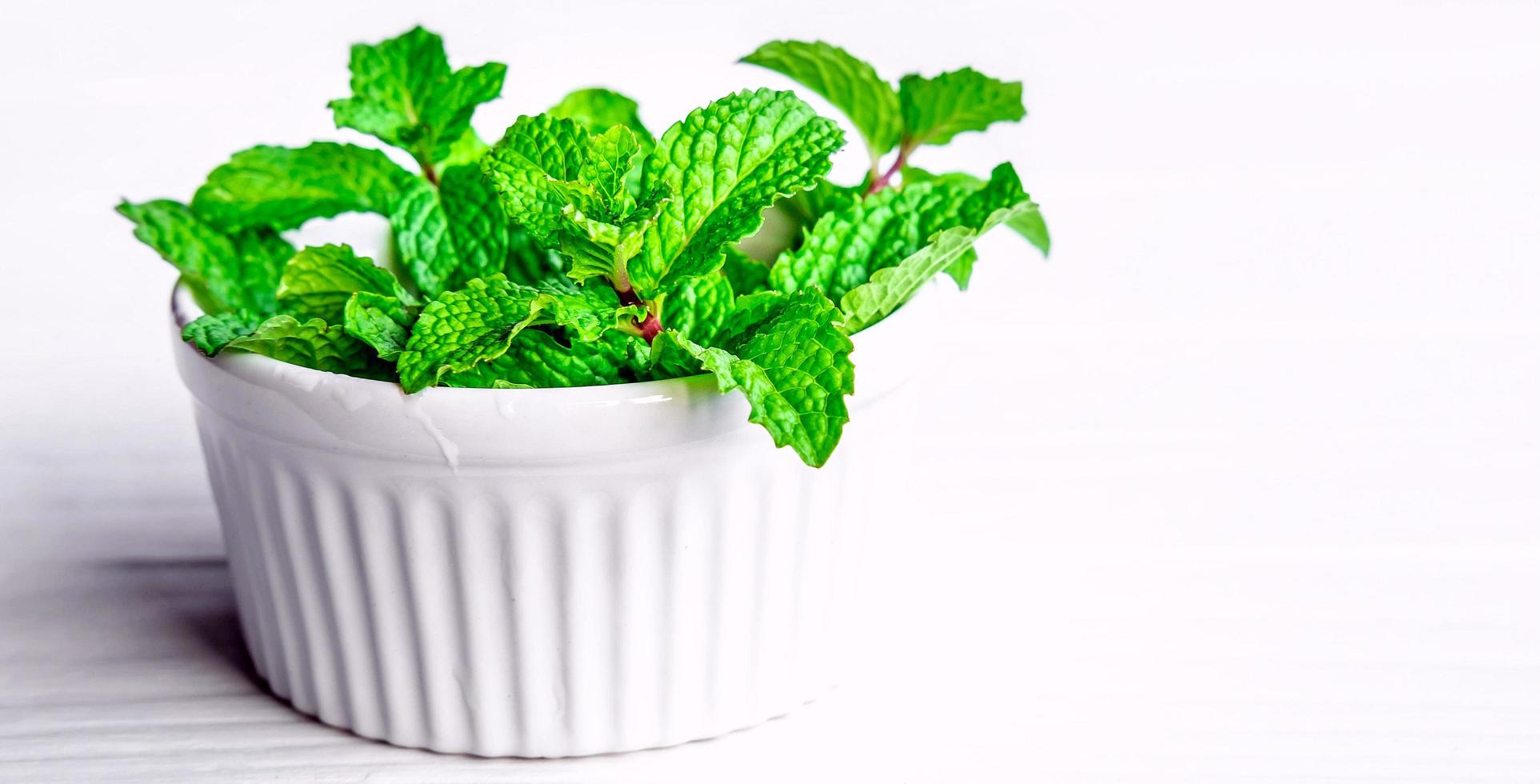 hojas de menta o hierbas de menta fresca en un tazón blanco sobre fondo blanco foto