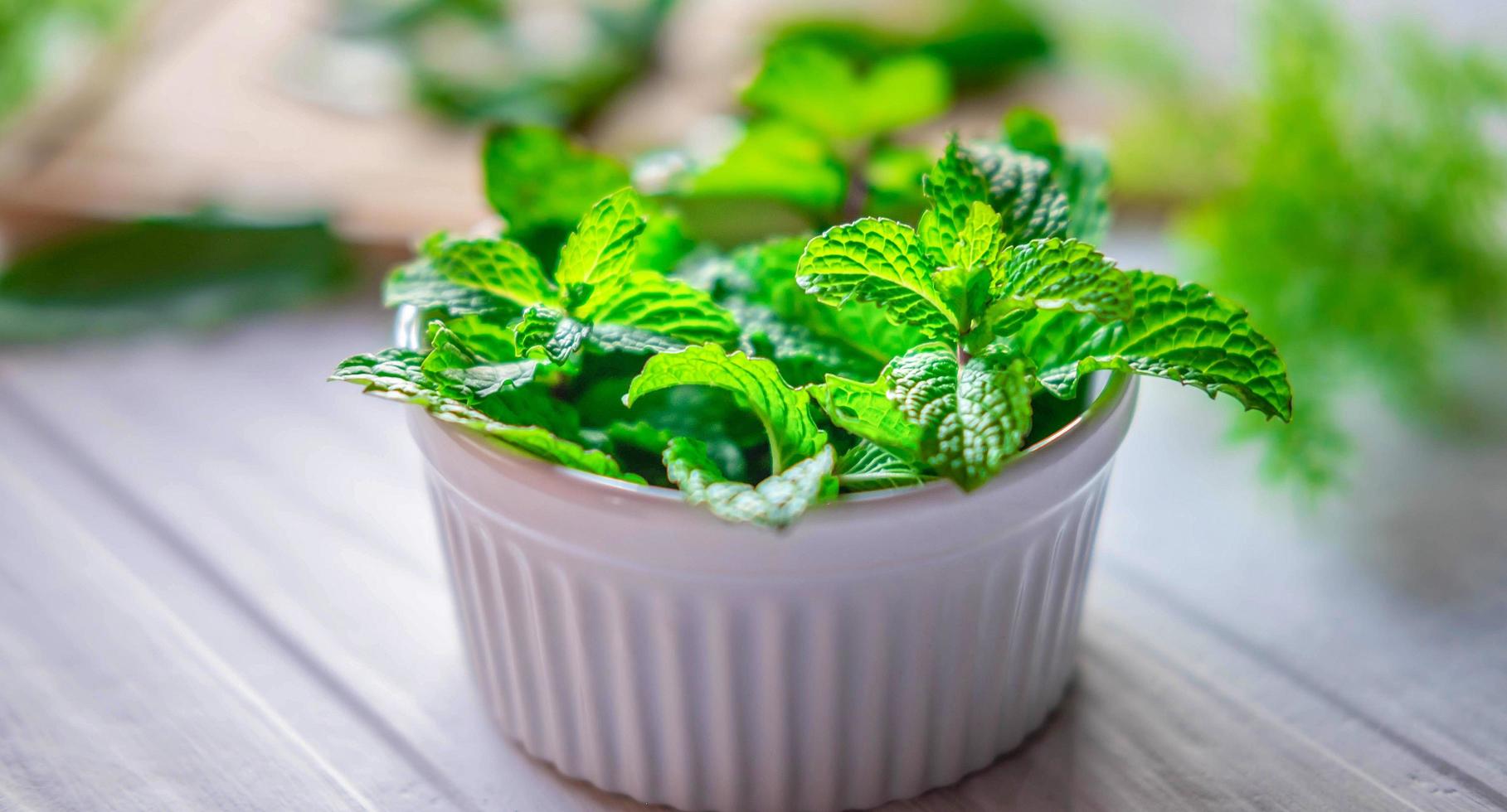 Mint leaf or Fresh mint herbs in a white bowl on white background photo