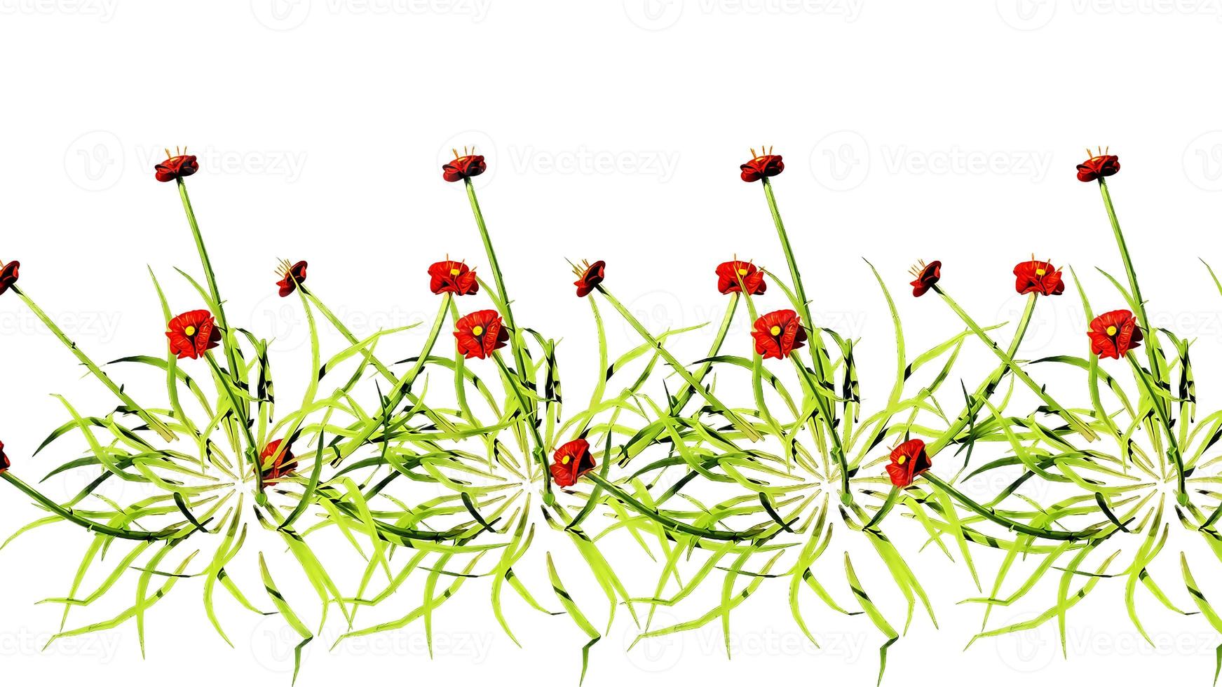 Abstract Flowers Botanical Digital Illustration photo