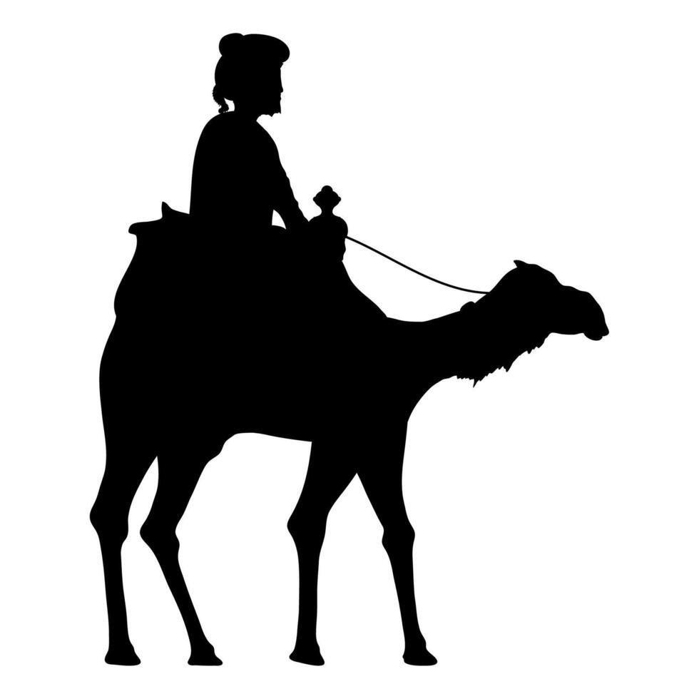 wise men melchior in camel vector