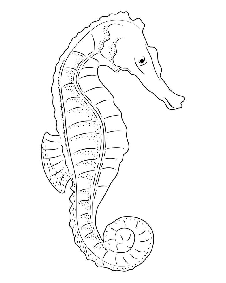 seahorse sealife sketch style vector