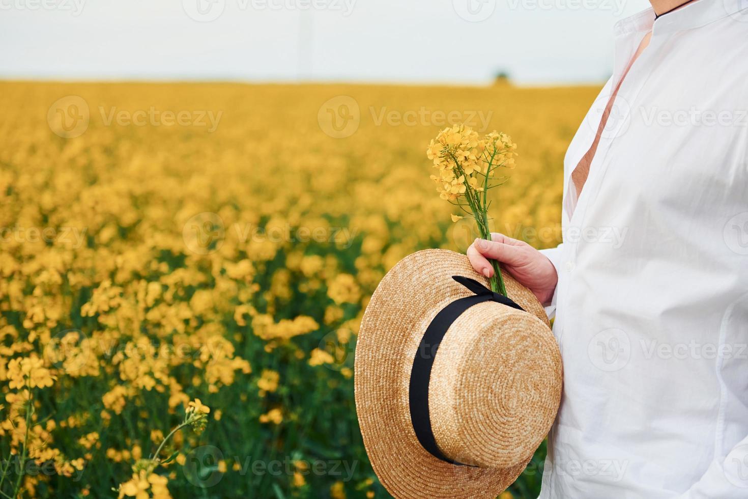 hombre sujetando un sombrero junto a campo de flores amarillas de stock en Vecteezy