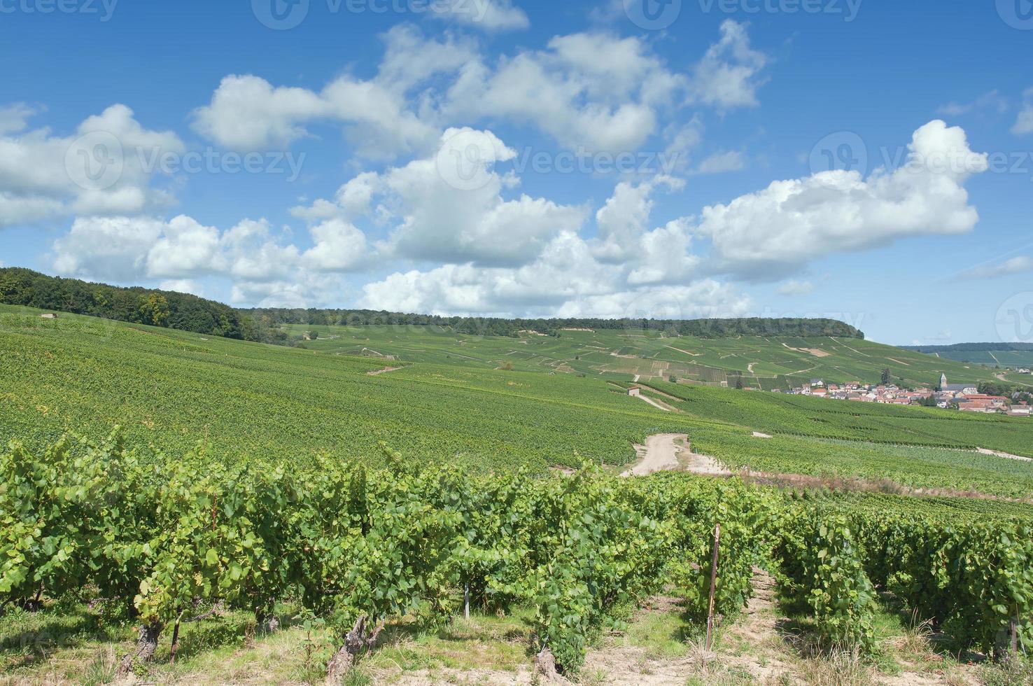 Pueblo vinícola de Oger cerca de Epernay,región de Champagne,Francia foto