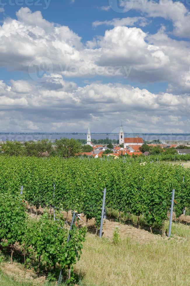 Village of Rust,Neusiedler See,Burgenland,Austria photo