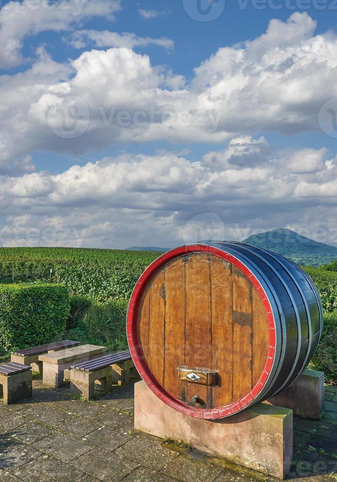 picnic area in Vineyard,German Wine Road,Palatinate,Germany photo