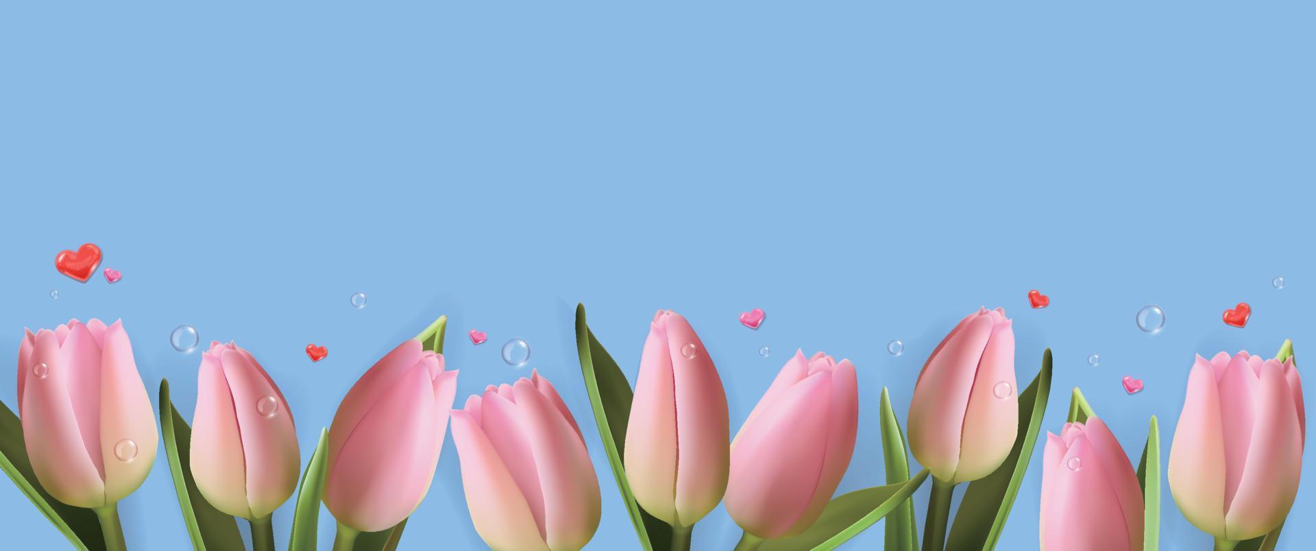 There is a row of pink tulips under the blue background, as well as some water drops and hearts vector