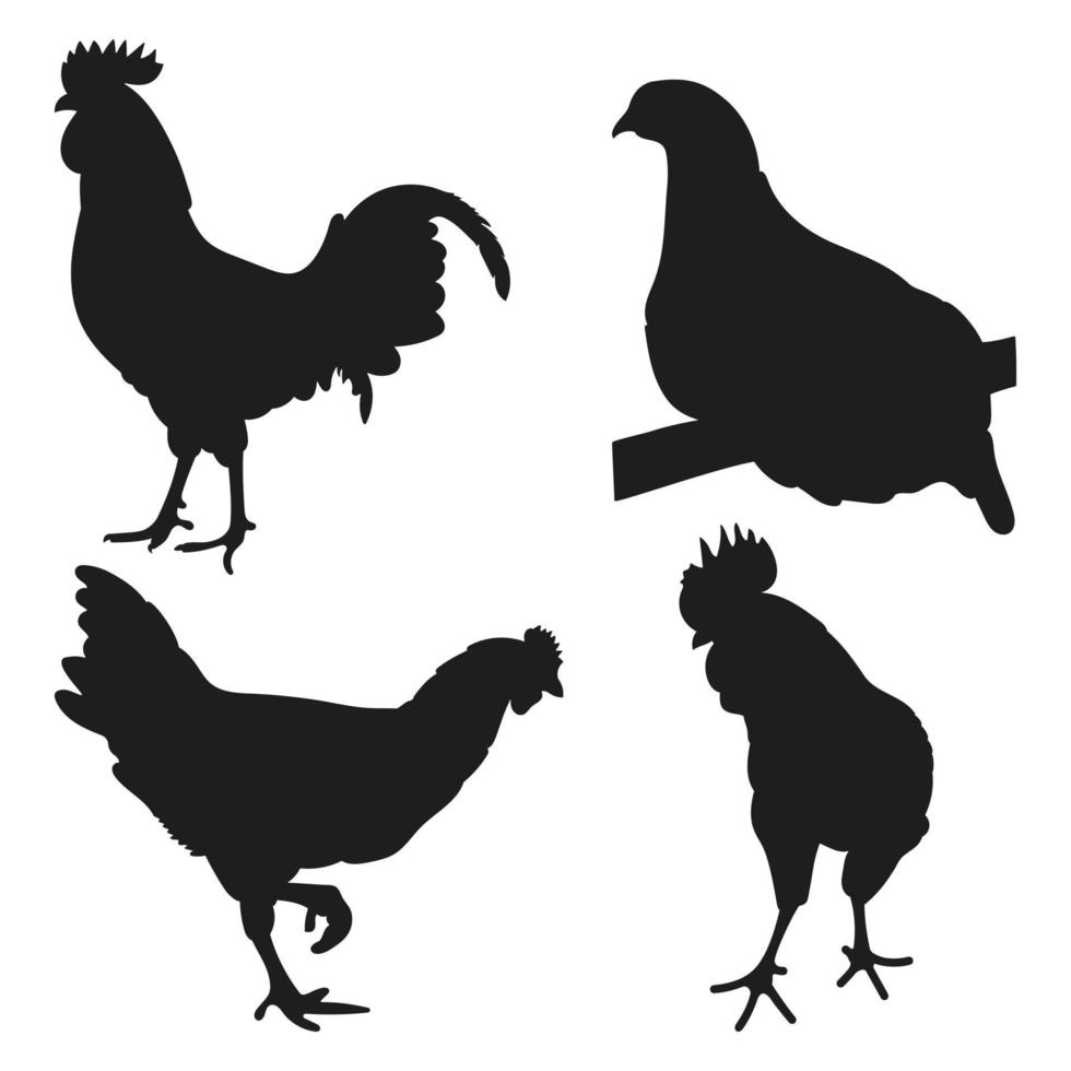 poner gallo, gallo, gallo, pollo, gallina, pollito, posición de pie, siluetas de aves de corral dibujadas a mano, vector aislado