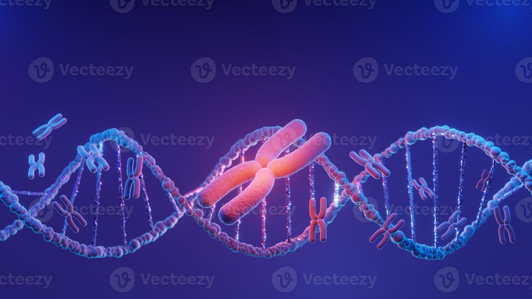 DNA spiral structure. DNA Helix complementary strand of  Sequences genetic code or genome. Gene expression. nucleotide database. The Central Dogma process of transcription and translation. 3D Render. photo