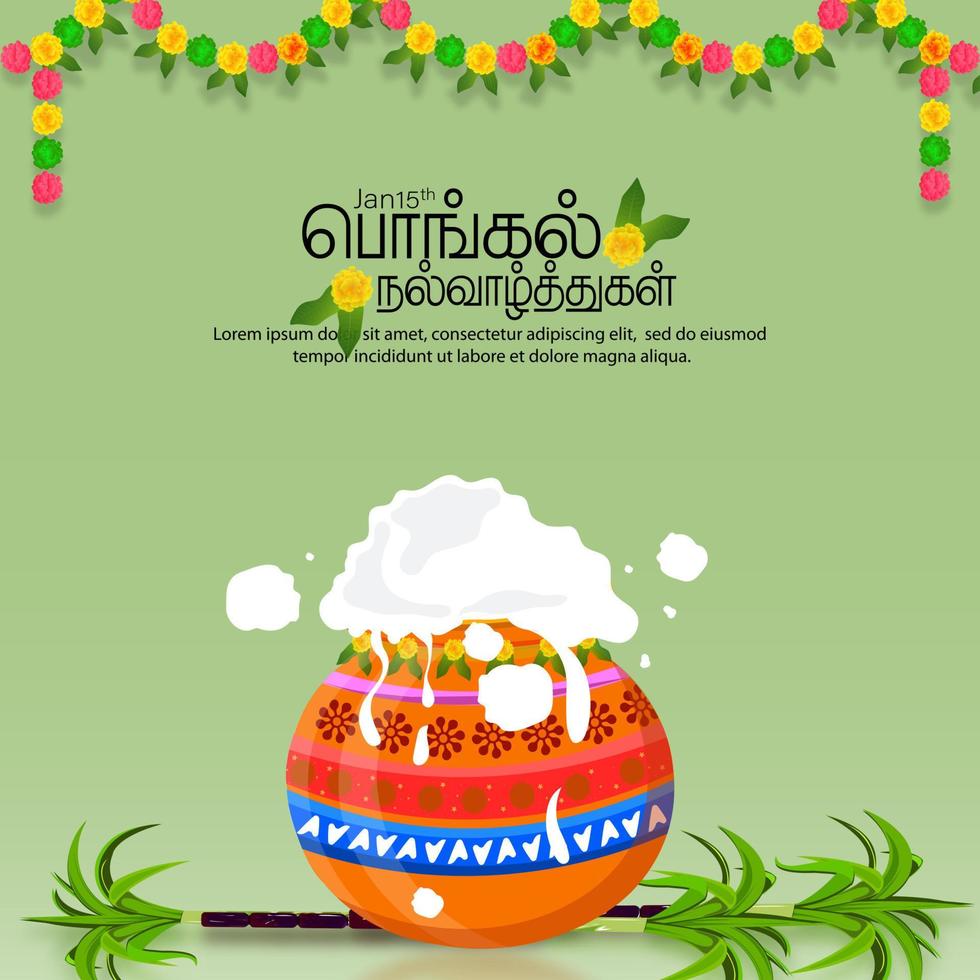 Happy Pongal religious festival of South India celebration background and Happy Pongal translate Tamil text. Vector illustration