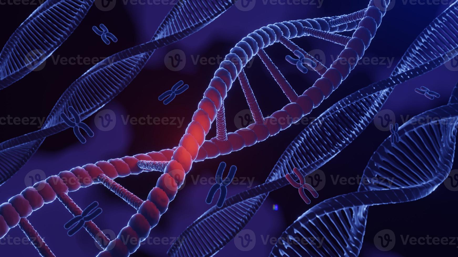 DNA spiral structure. DNA Helix complementary strand of  Sequences genetic code or genome. Gene expression. nucleotide database. The Central Dogma process of transcription and translation. 3D Render. photo