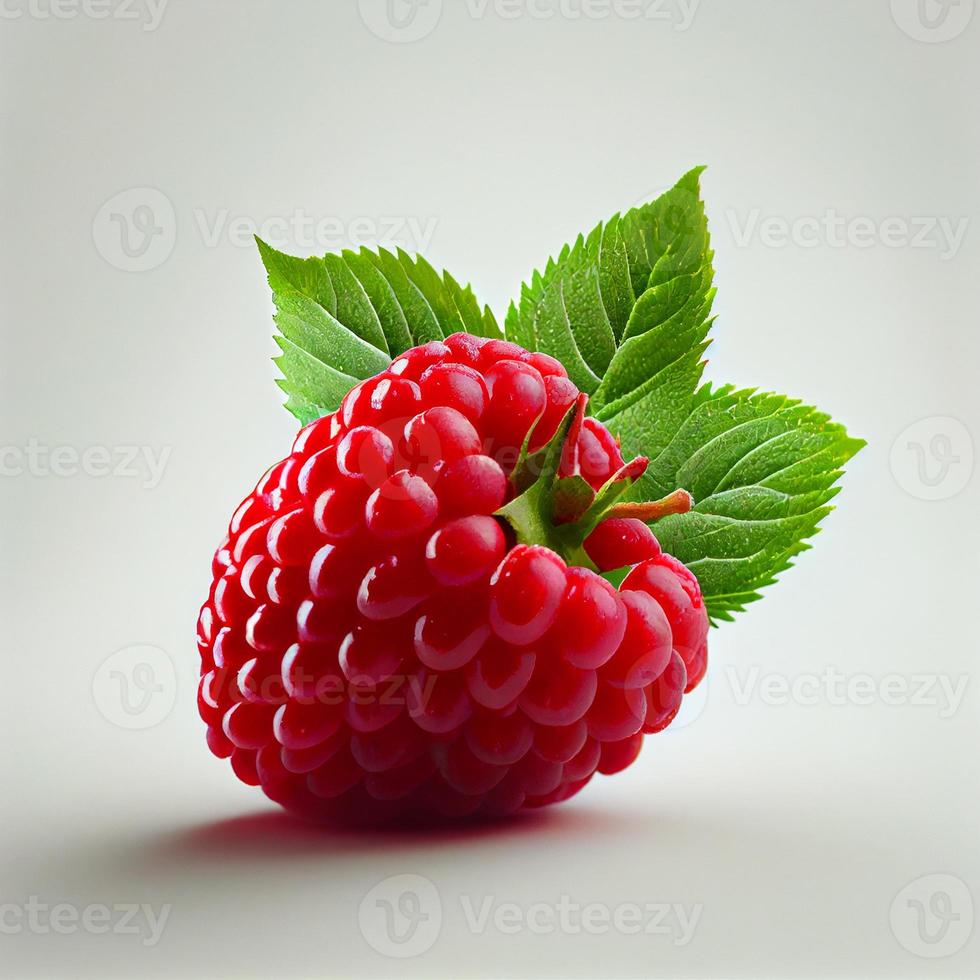 Raspberry fruit isolated on white background. photo