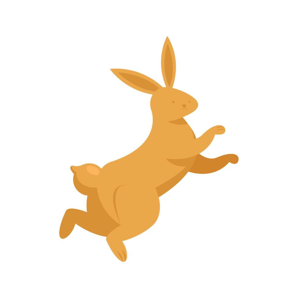 chinese golden bunny vector