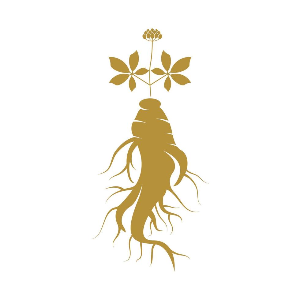 Ginseng logo design template and symbol icon vector
