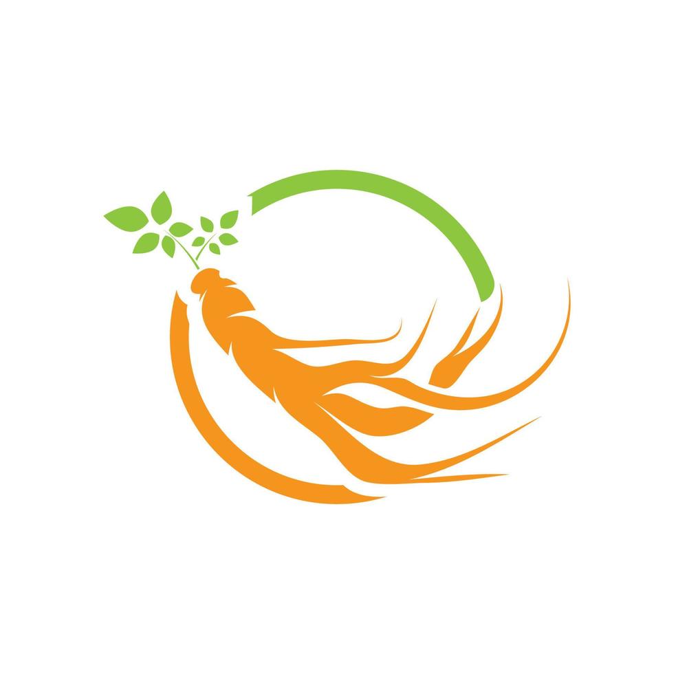Ginseng logo design template and symbol icon vector