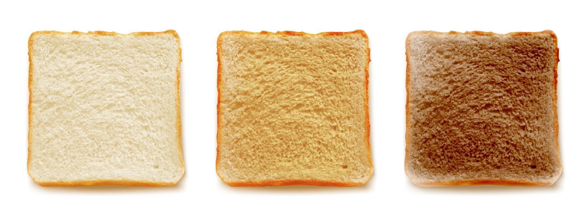 Toasted bread for sandwich 3D isolated vector