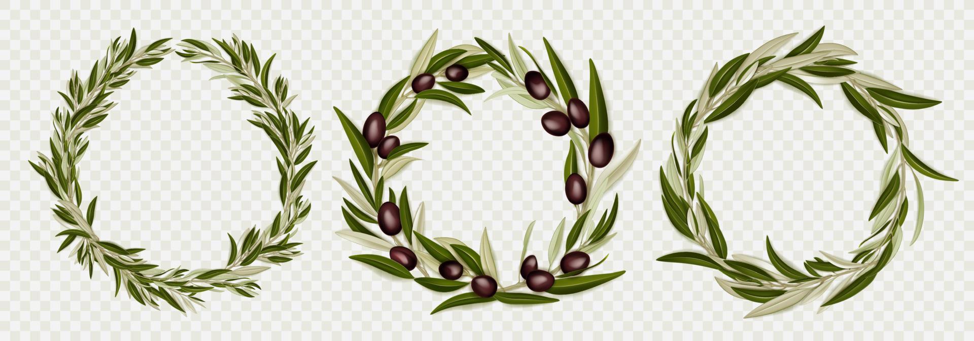 Round frames realistic olive branches with berries vector