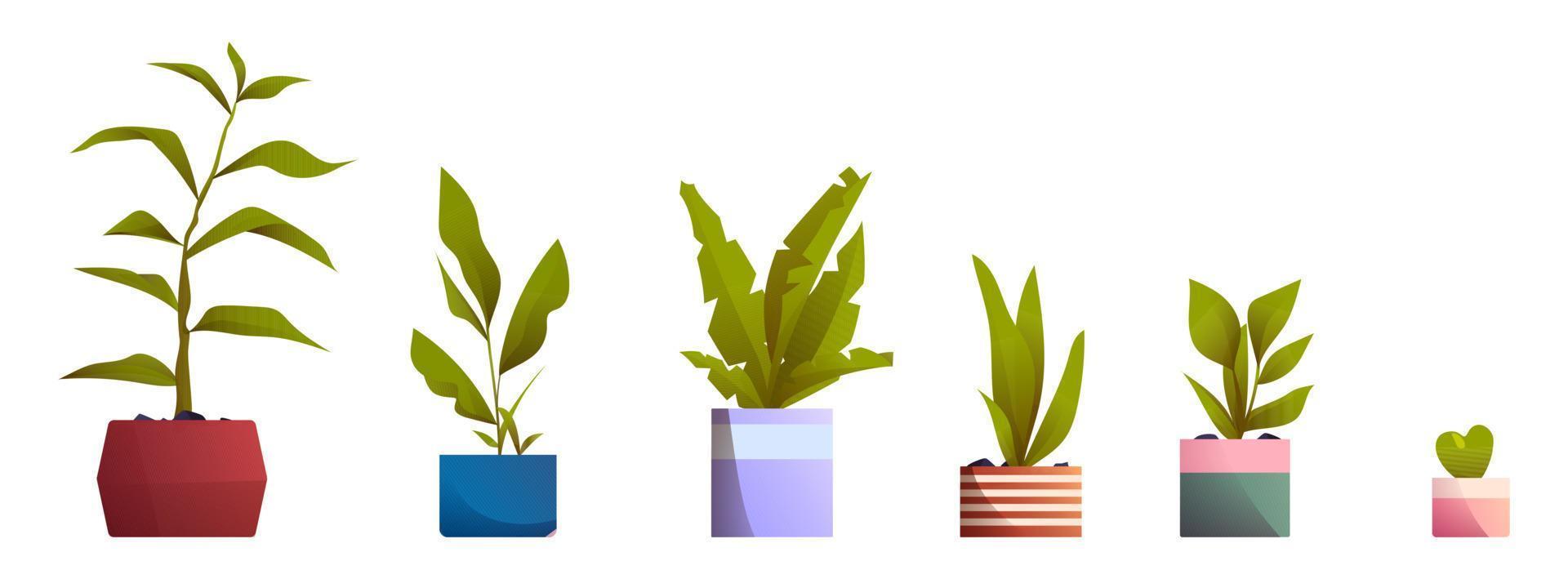 Plants in pots for home and office interior vector