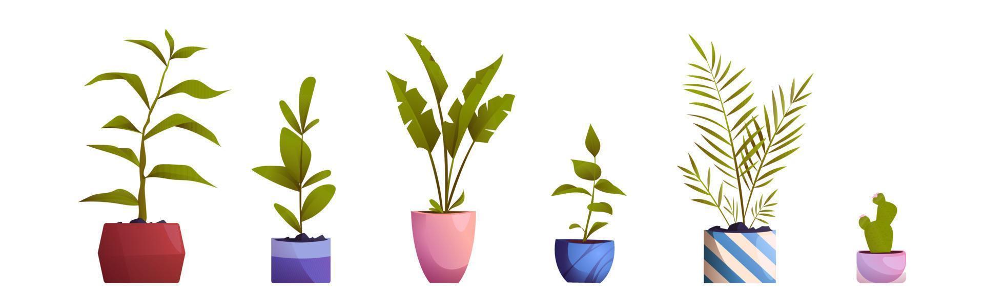 Cartoon set of potted flowers and trees on white vector