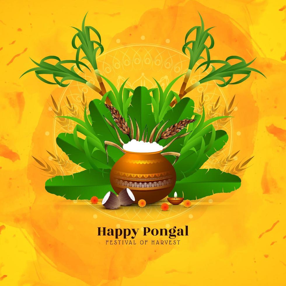 Happy Pongal Indian traditional festival background vector