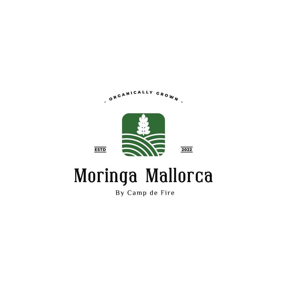 inspiración para el diseño del logotipo de la hoja de moringa. logotipo de la plantación de moringa. vector