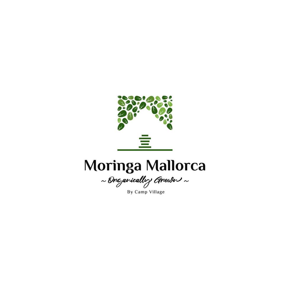 inspiración para el diseño del logotipo de la hoja de moringa. logotipo de la plantación de moringa. vector