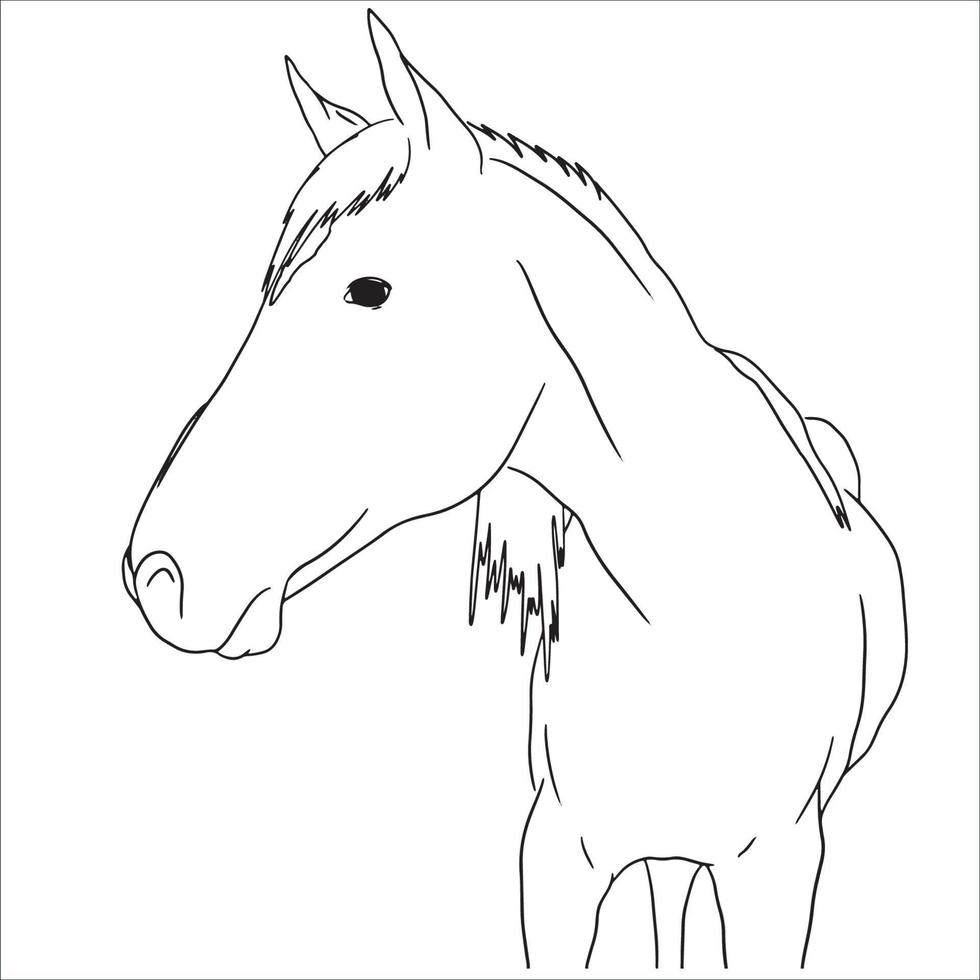 Horse Line Art, Animal Drawing Sketch, Outline vector