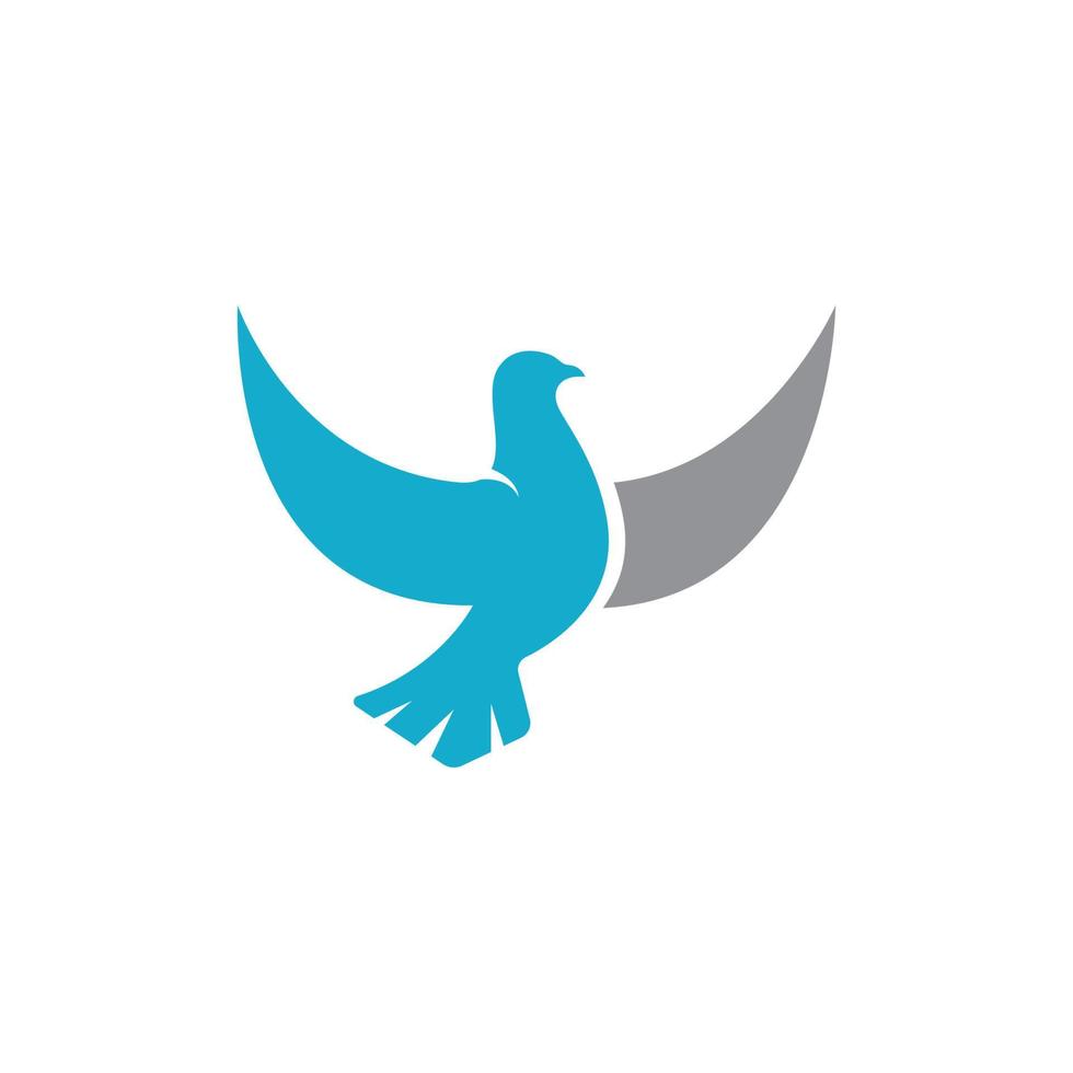 Bird wing Dove icon Template vector illustration