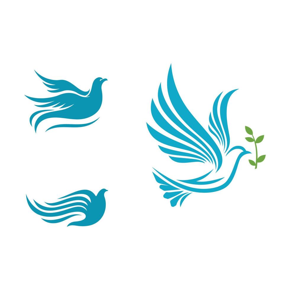 Bird wing Dove icon Template vector illustration