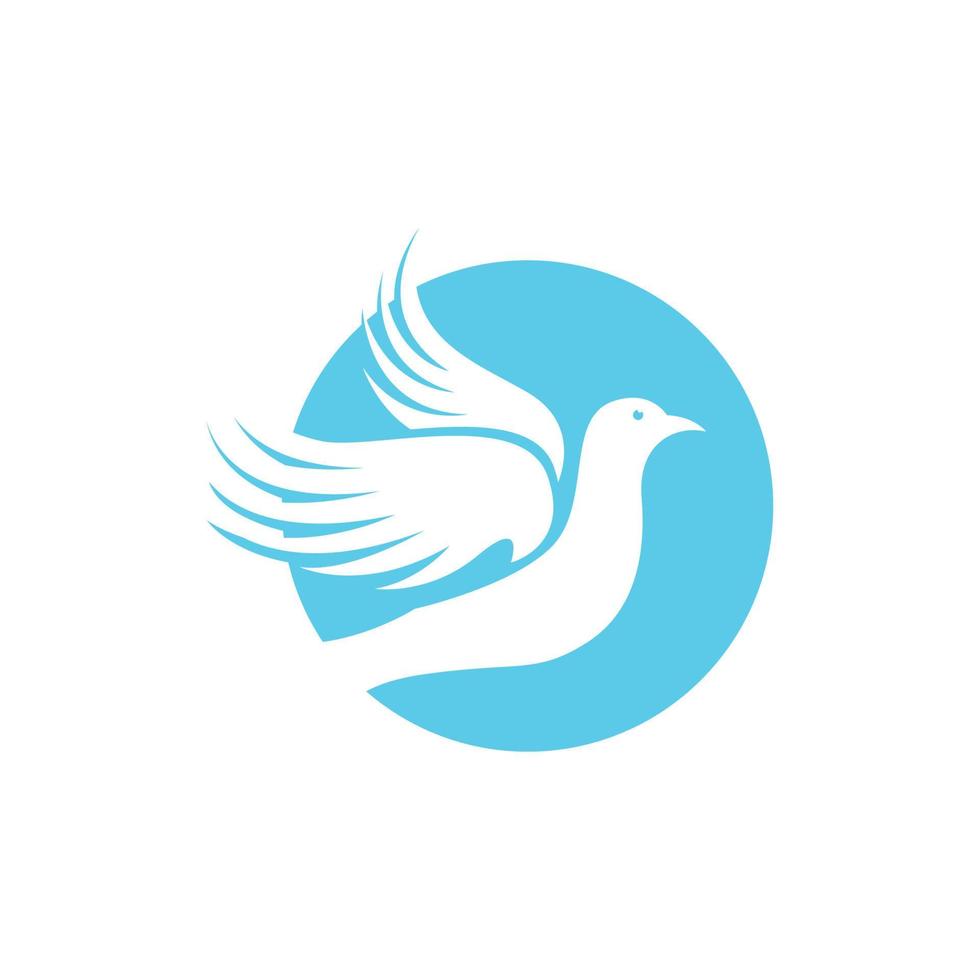 Bird wing Dove icon Template vector illustration