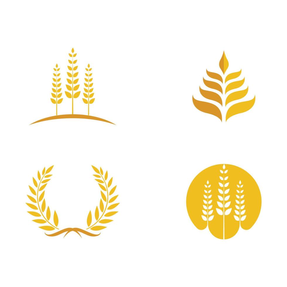 Agriculture wheat vector