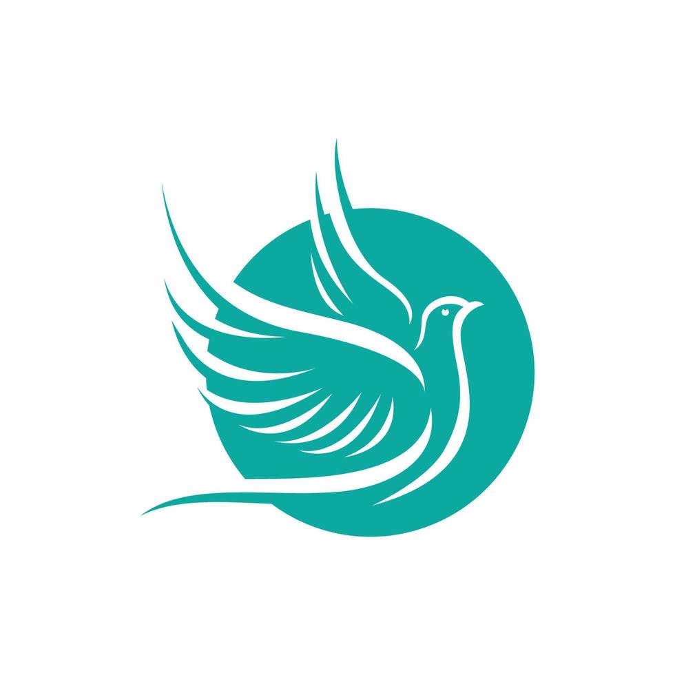 Bird wing Dove icon Template vector illustration