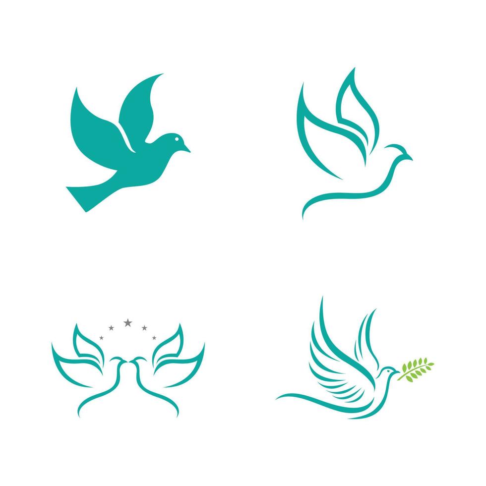 Bird wing Dove icon Template vector illustration