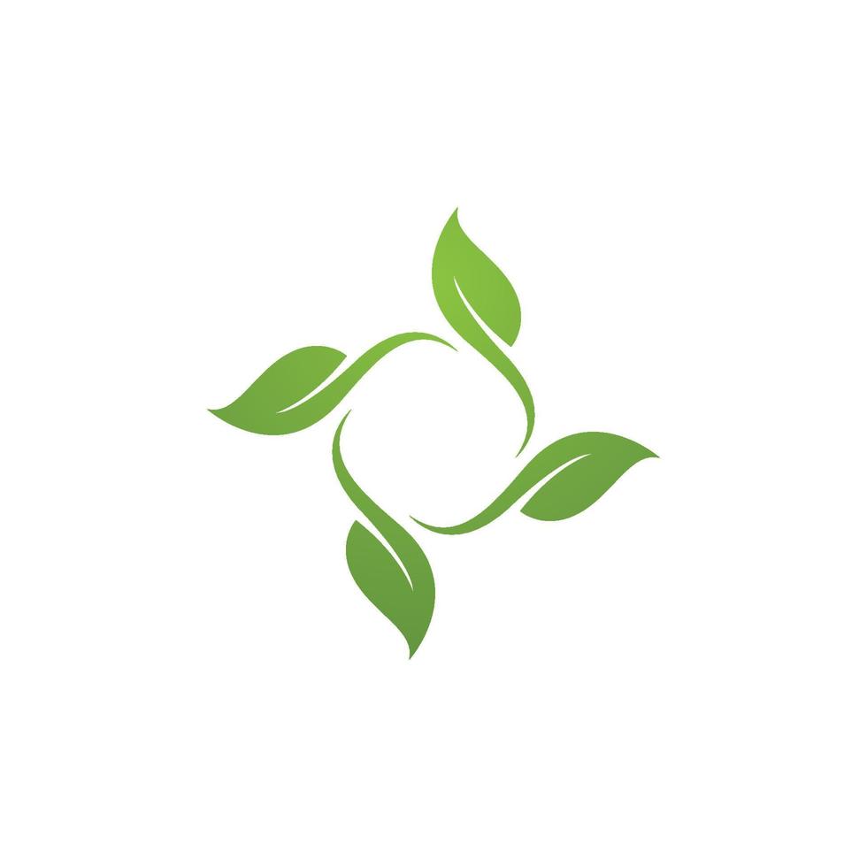 Logos of green Tree leaf ecology vector