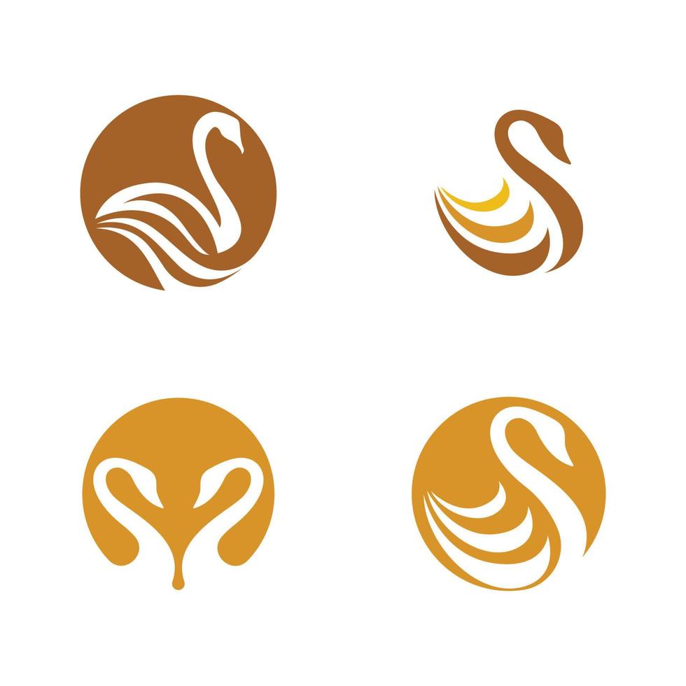 Swan icon Template vector