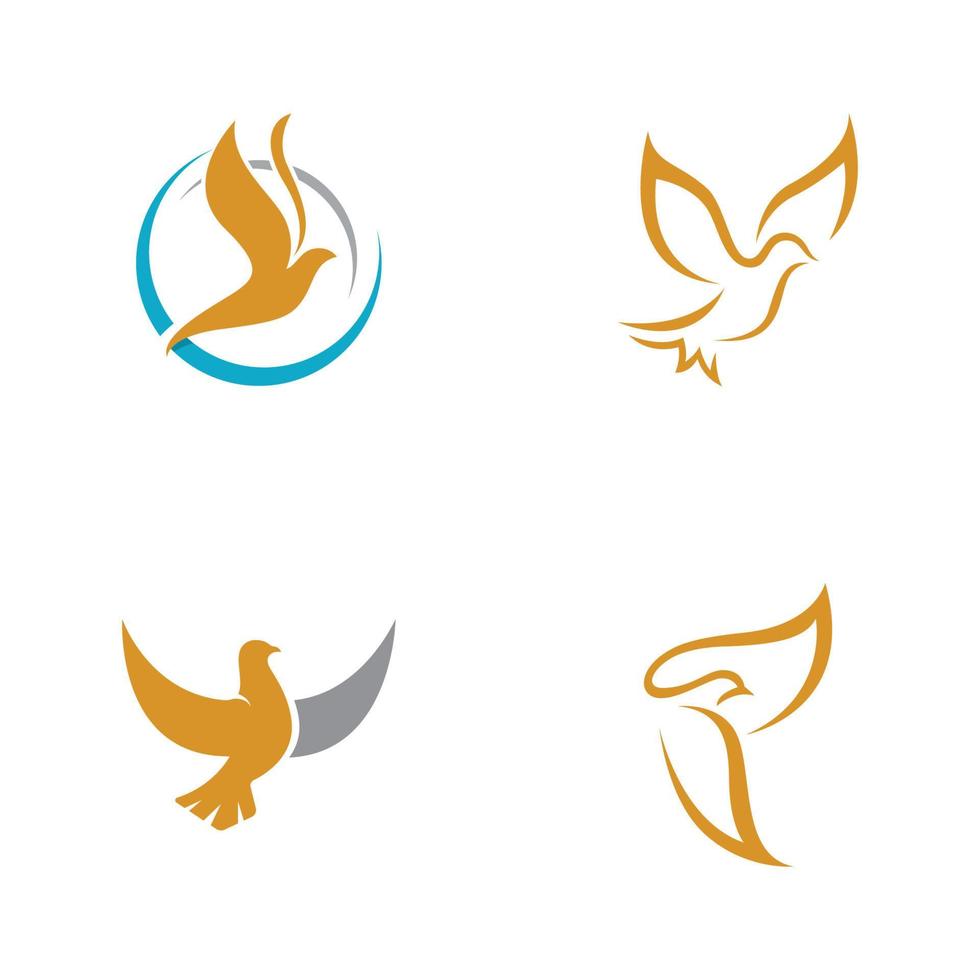 Bird wing Dove icon Template vector illustration