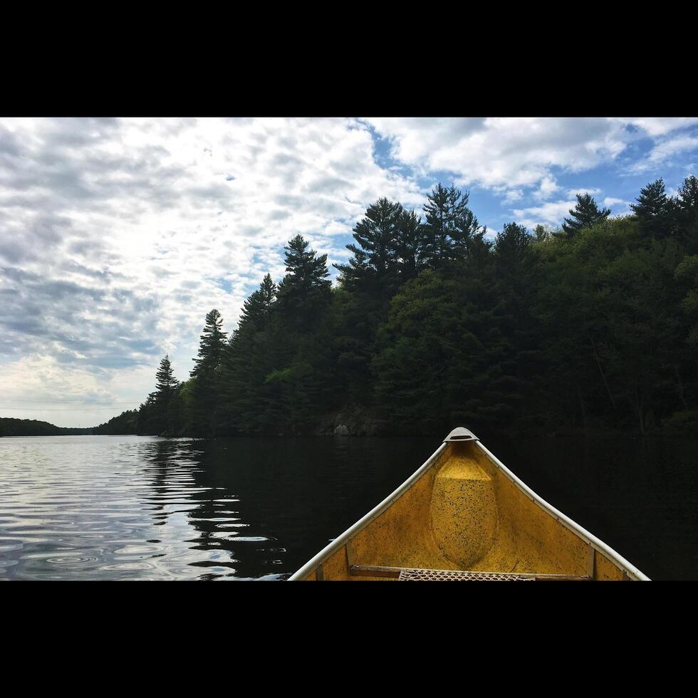 canoa en el lago foto