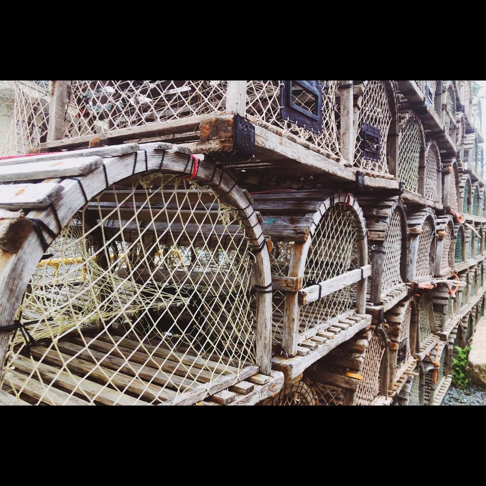 Lobster Trap Pile photo