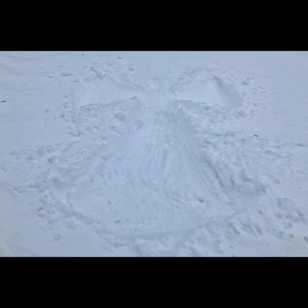 ángel de nieve de invierno foto