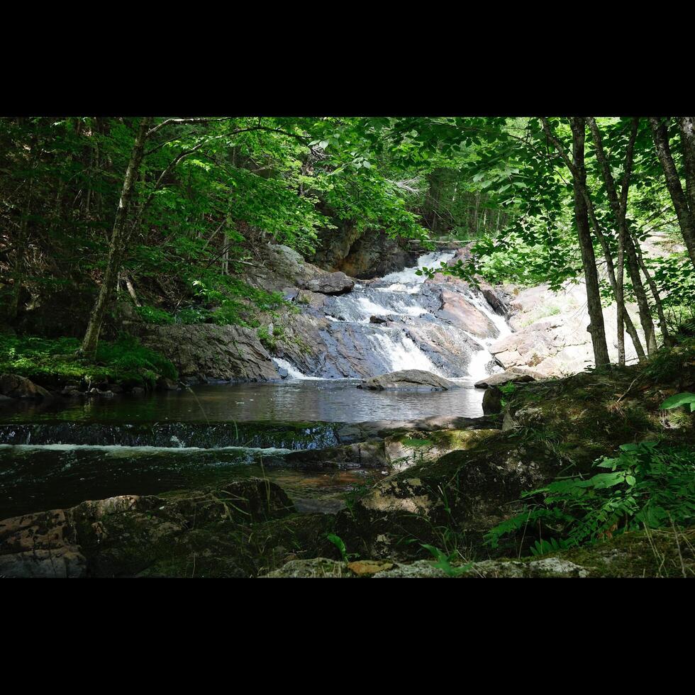 Small Waterfall Forest photo