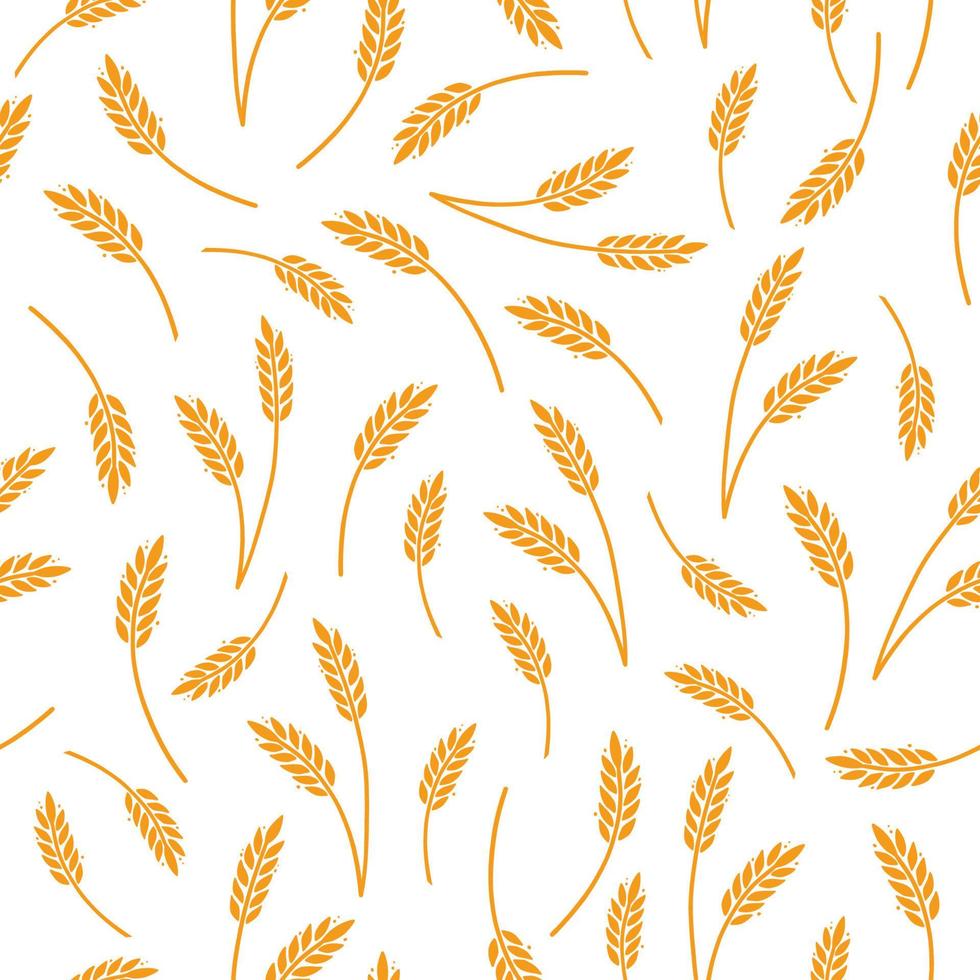 Wheat, barley, rice pattern for cereal vector