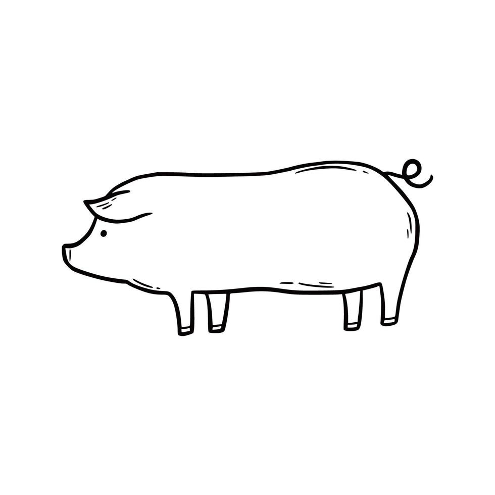 Hand drawn farm pig. Doodle sketch vector