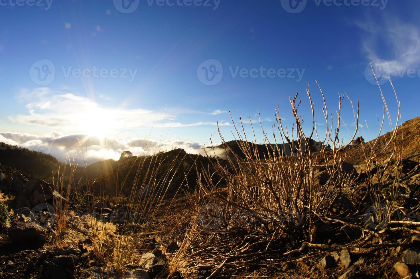Beautiful desert view photo