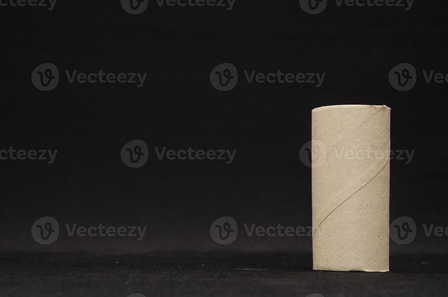 Empty toilet paper roll photo