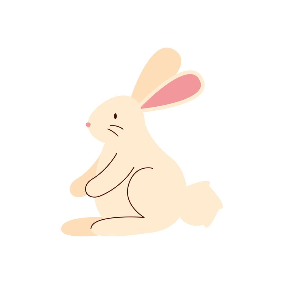 rabbit farm animal vector