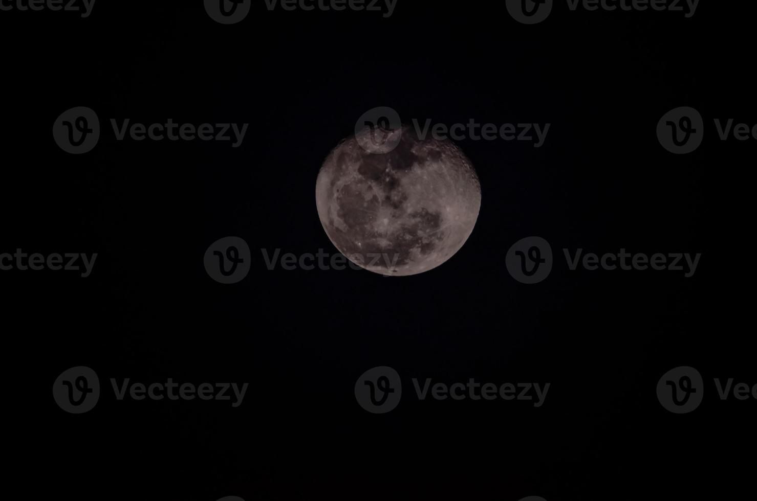 Close-up view of the moon photo