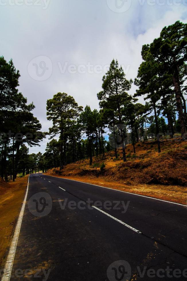 paisaje junto a la carretera foto