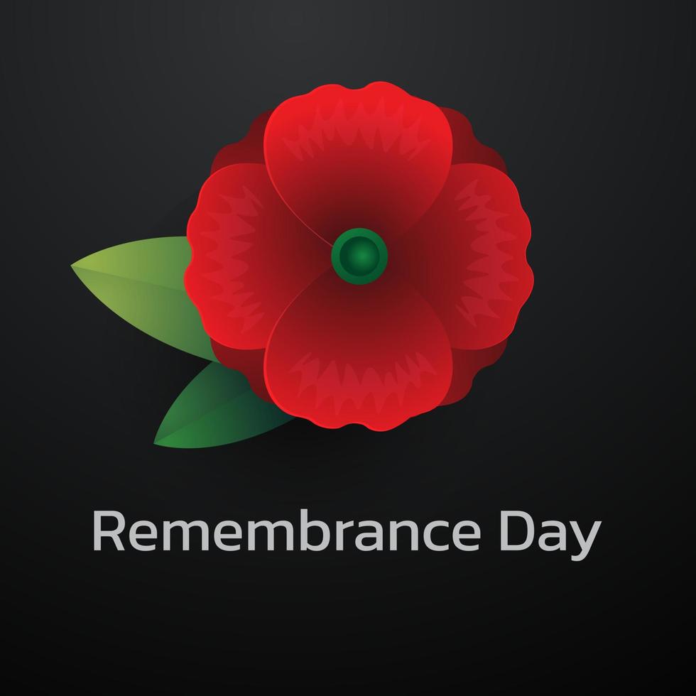 Remembrance day concept, Background with beautiful red poppies. Vector illustration, A poppy flower banner vector