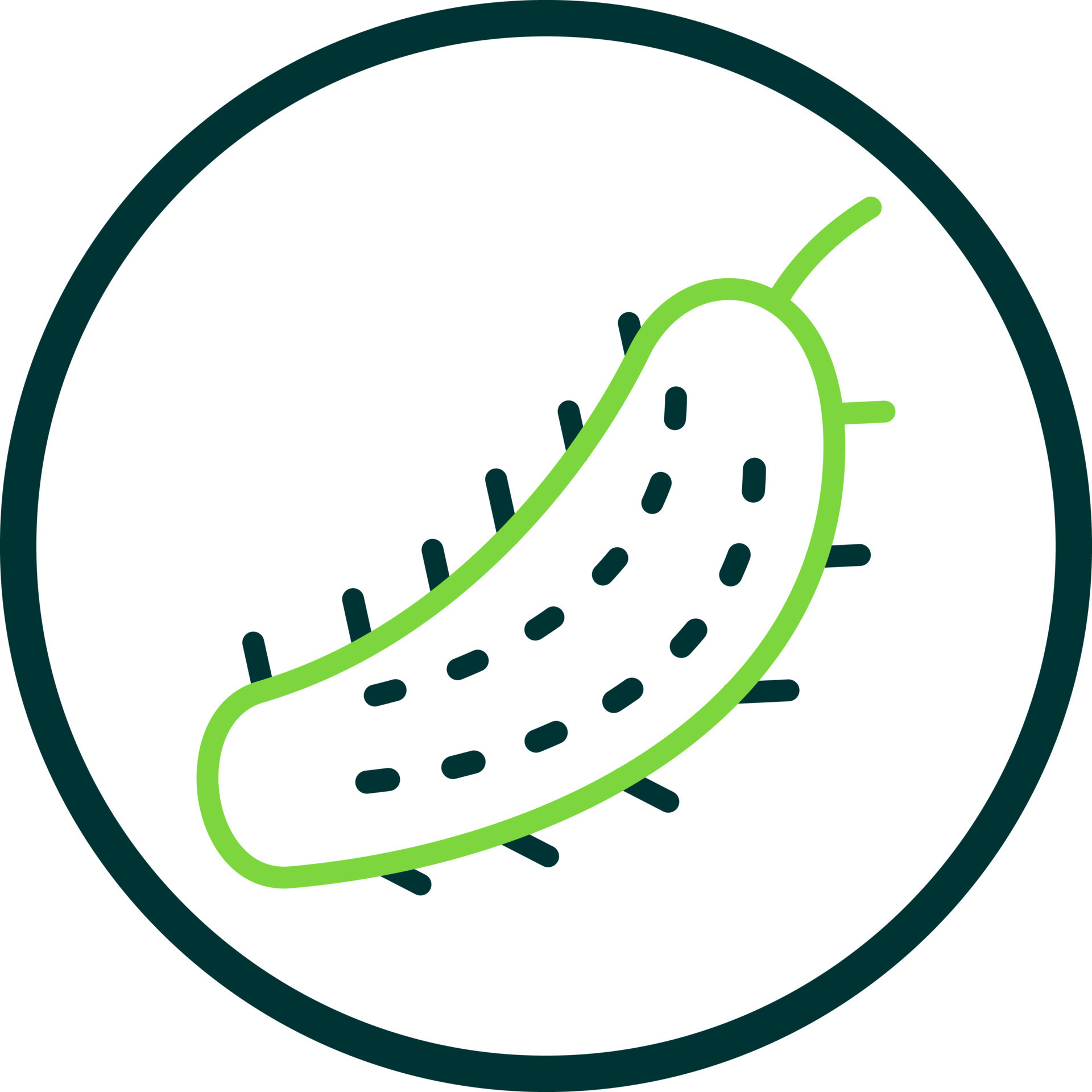 Pickle Vector Icon Design 16987469 Vector Art At Vecteezy Pickle Vector Icon Design 16987469 Vector Art At Vecteezy