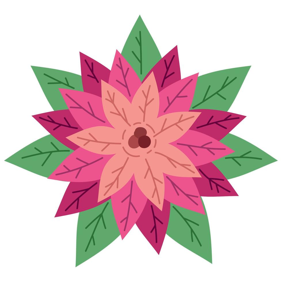 flor de nochebuena de navidad vector